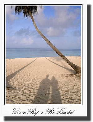 DomRep : ReLoaded 2004