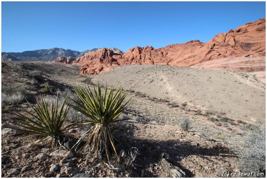 Red Rock Canyon an einem wolkenlosen Tag