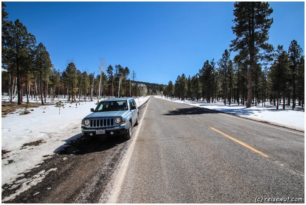 Schnee auf dem Weg zum Grand Canyon