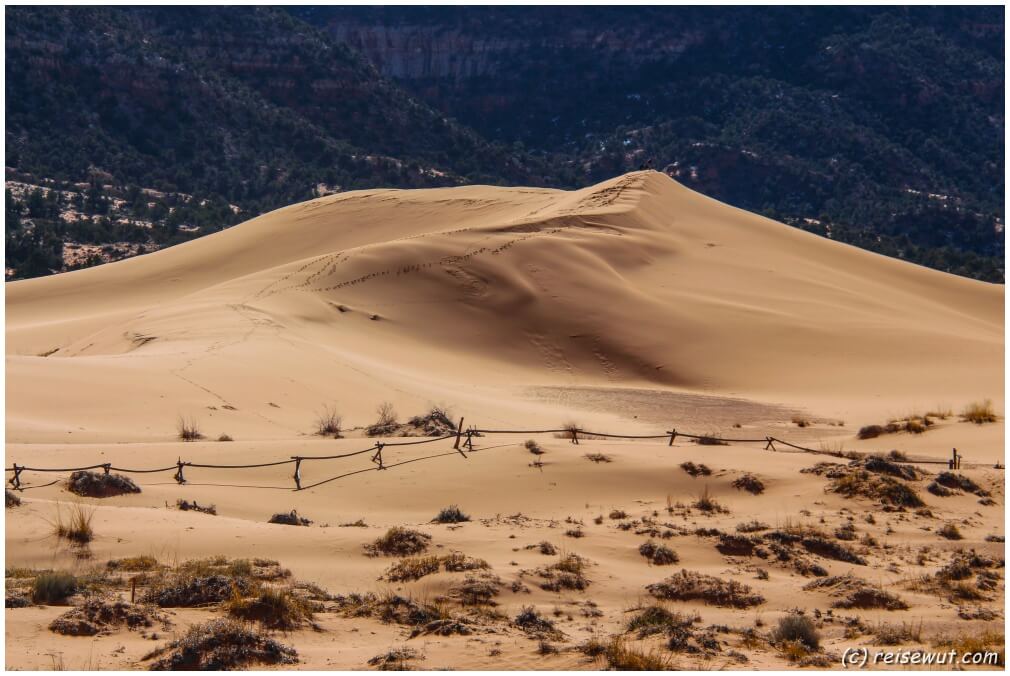 Coral Pink Sand Dunes ... leider ohne Schnee