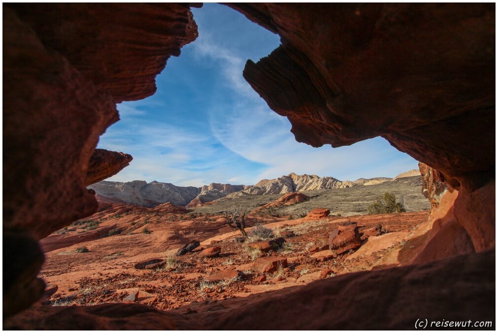 Petrified Dunes Trail