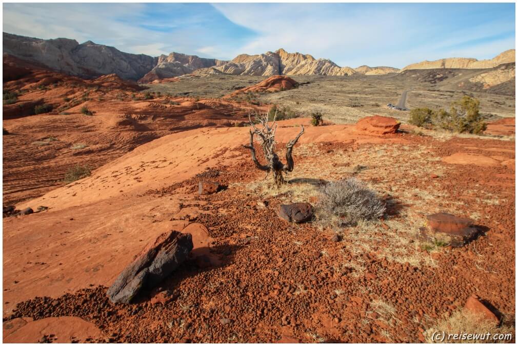 Petrified Dunes Trail