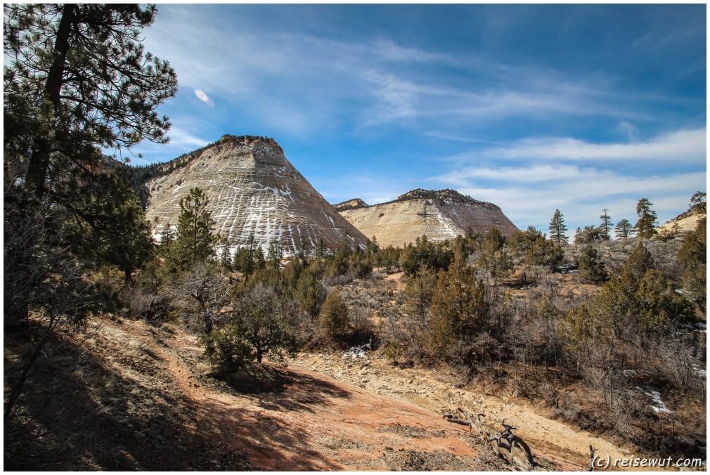 Im Zion National Park 