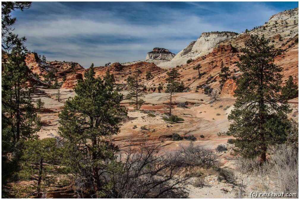 Der wunderschöne Zion National Park