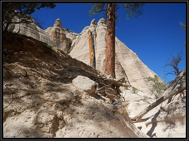 Eindrücke vom Trail durch die Tent Rocks