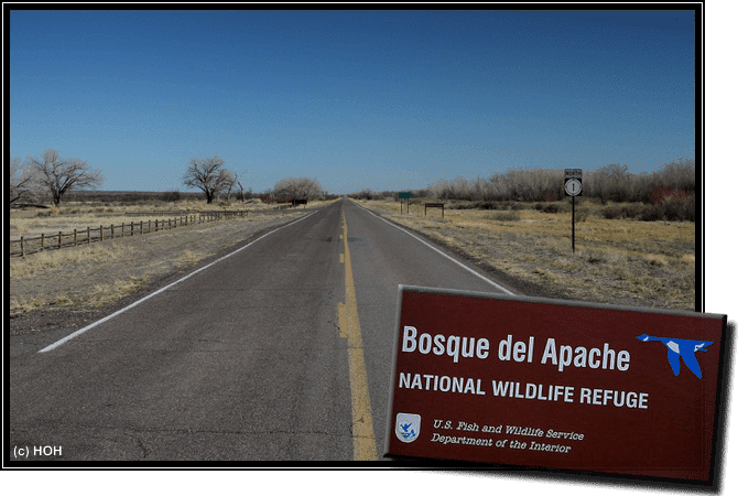 Bosque del Apache Zufahrt