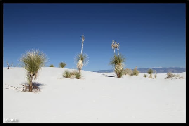 White Sands Impression