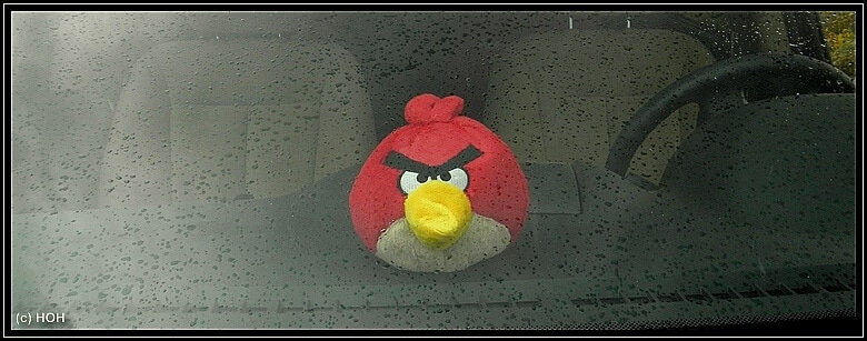 Angry Bird