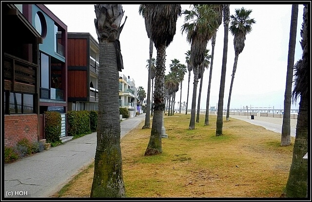 Ocean Front Walk