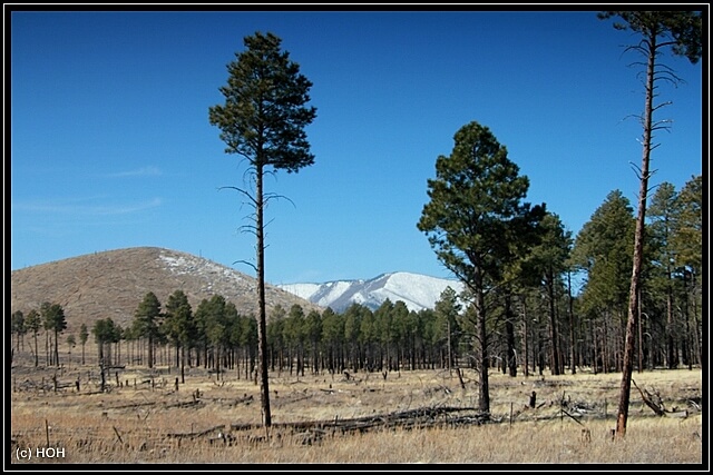 Scenic Road US180