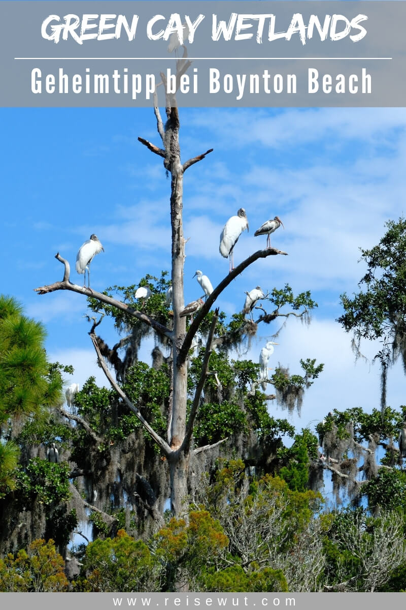 Green Cay Wetlands Florida - Pinterest Pin