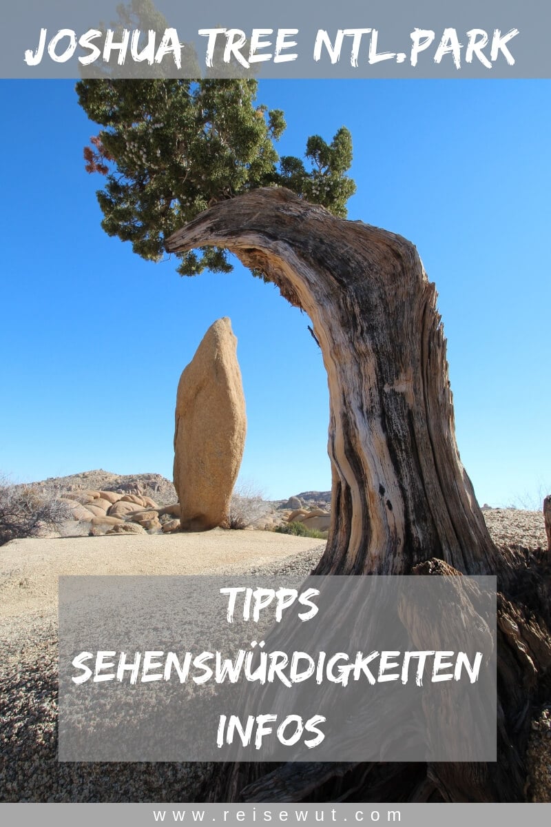 Pinterest Pin - Joshua Tree National Park