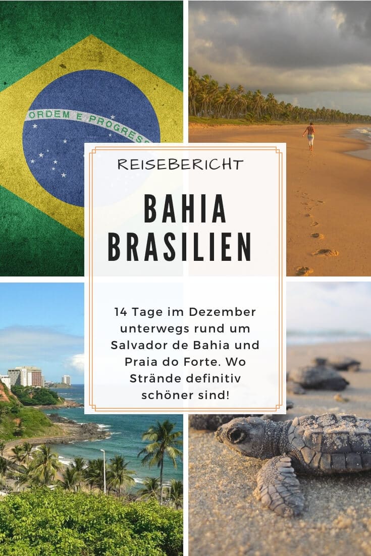 Reisebericht Brasilien Urlaub | Pinterest Pin