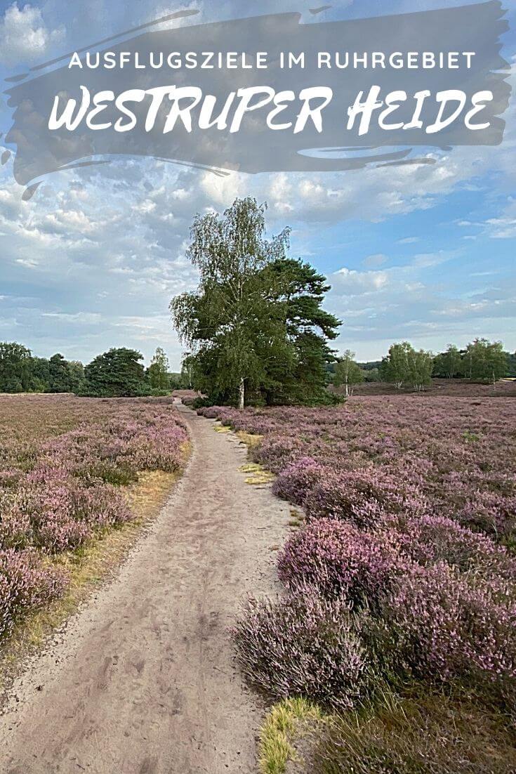 Westruper Heide | Pinterest