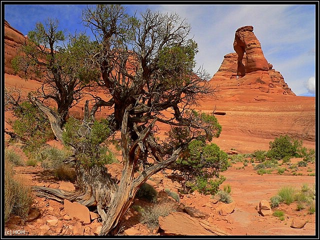 Delicate Arch aus dem Kessel gesehen