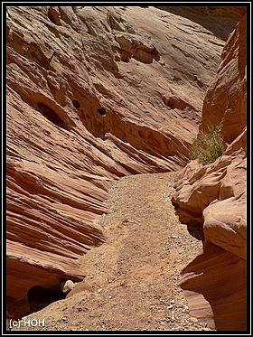 Little Wild Horse Canyon