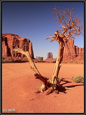 Impression aus dem Monument Valley