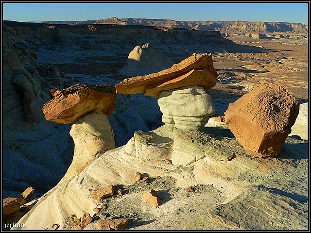 Stud Horse Point