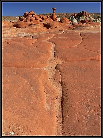 Die Toadstool Hoodoos