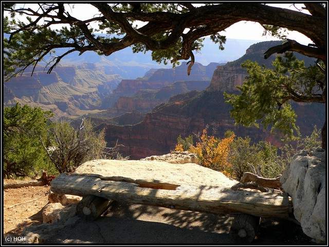 Die Aussichten vom North Rim sind mindestens genauso beeindruckend wie am South Rim