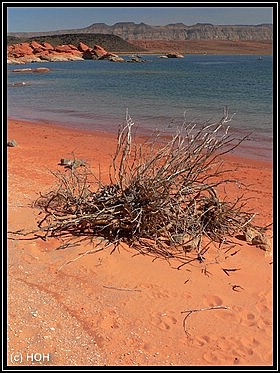 Sand Hollow State Park