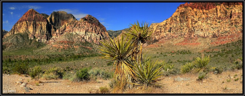 Spring Mountains Panorama