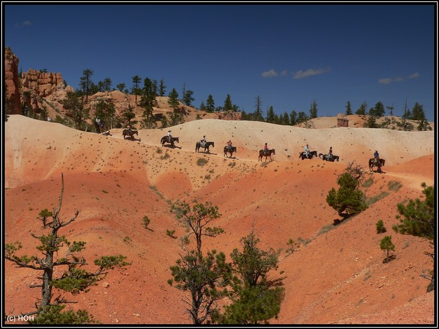 Auf dem Peek-A-Boo-Trail ... Ausritt in den Bryce Canyon