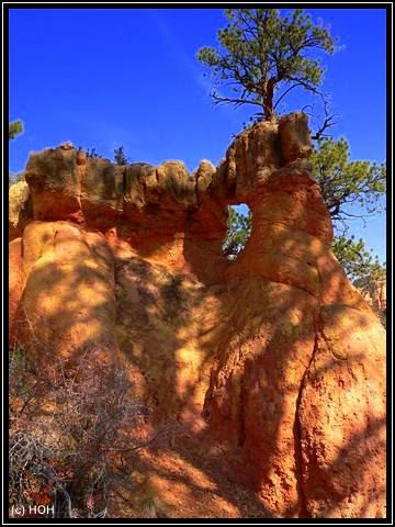 Mini Arch im Red Canyon