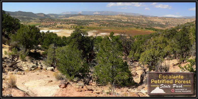 Ausblick auf den (ausgetrockneten) Salzsee beim Petrified Forest