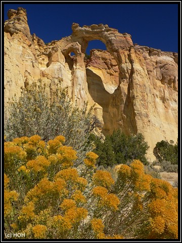 Der Grosvenor Arch