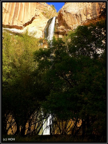 Erster Blick auf die Lower Calf Creek Falls