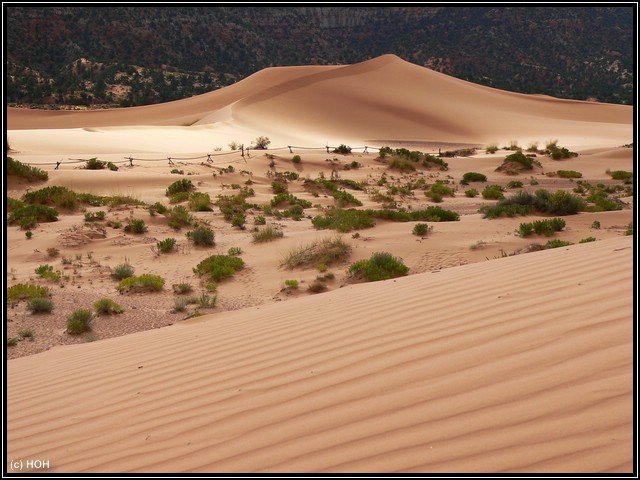 Coral Pink Sand Dunes