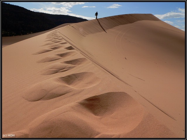 Die größte Düne in den Coral Pink Sand Dunes