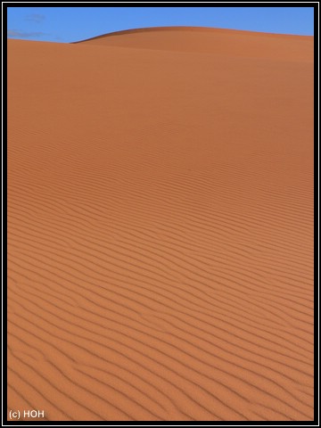 Strukturen im Sand der Coral Pink Sand Dunes