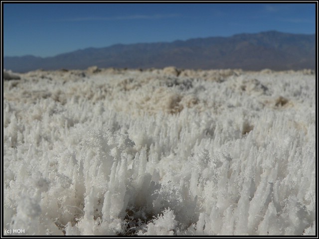 Salzkristalle bei Badwater