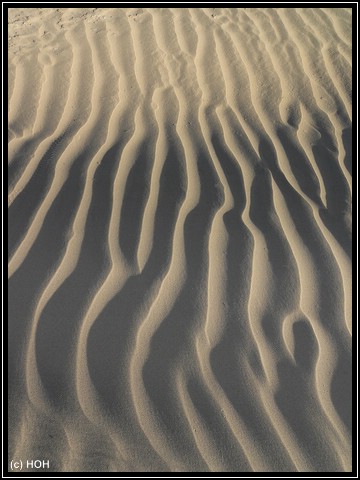 Die Dünen bei Stovepipe Wells am frühen Morgen