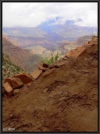 Bright Angel Trail