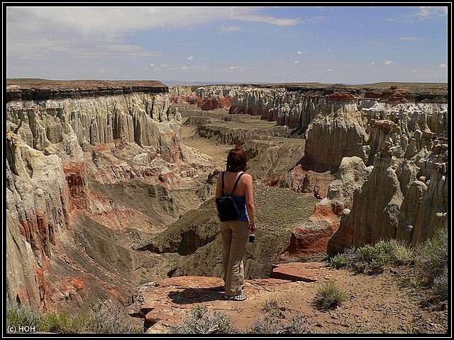 Frauchen am Lower Coalmine Canyon