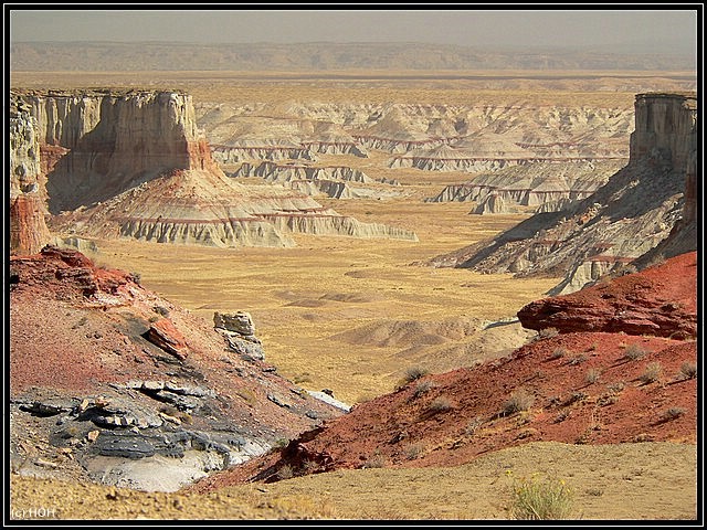 Coalmine Canyon View