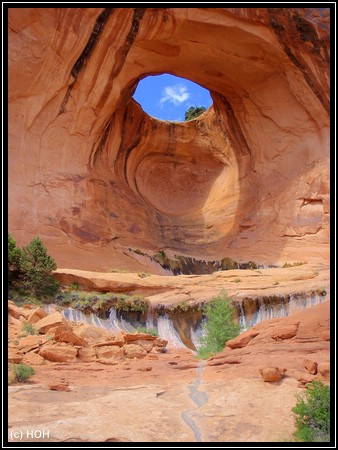 Bow Tie Arch