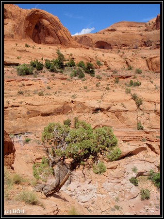 Corona Arch aus der Ferne