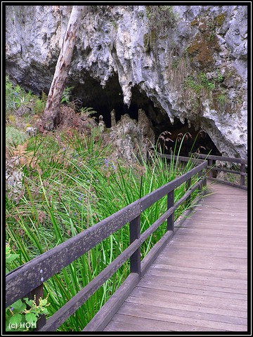 Mammoth Cave Eingang