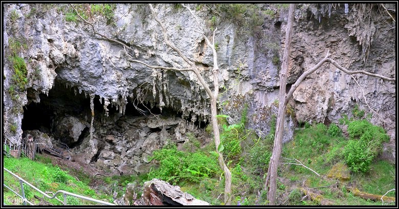 Mammoth Cave ... der Ausgang von oben