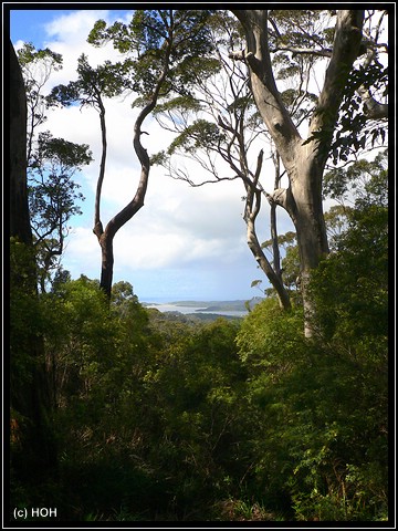 scenic Point bei Walpole