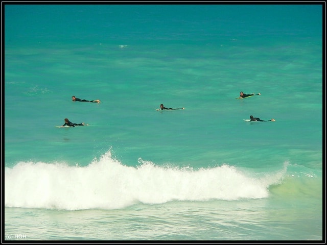 Warten auf die perfekte Welle ... Surfer bei Esperance