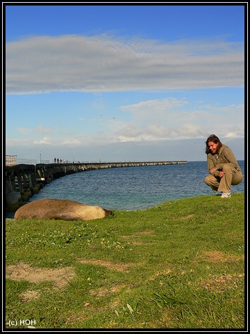 Sammy sonnt sich am Tanker Jetty