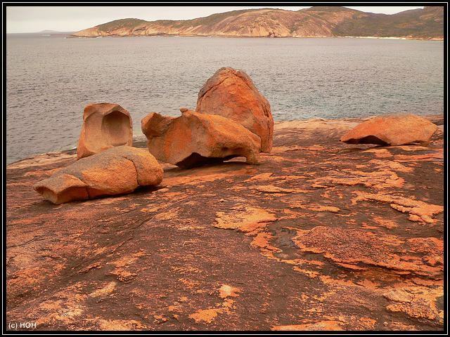 Thistle Cove Rocks