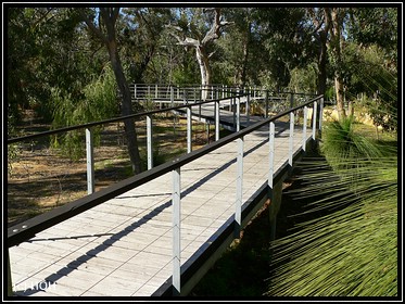 Koala Boardwalk im Park