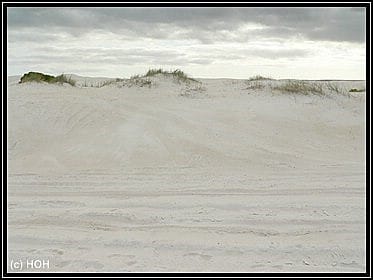 Lancelin Dunes