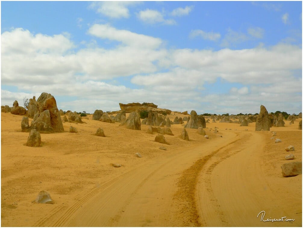 Der Loop durch den Nambung National Park